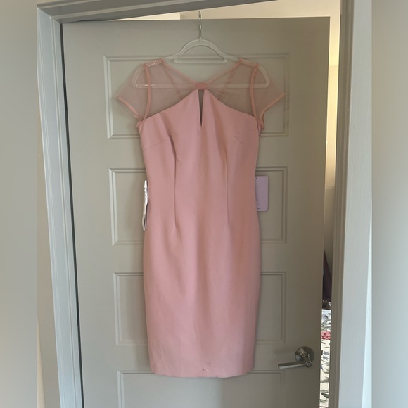 NWT JS Collections Pink Shift dress with sheer mesh/tulle top - Picture 4 of 9